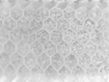 Close-up of a hexagonal honeycomb core panel filled with granular material, from the 1996 DERA tests.